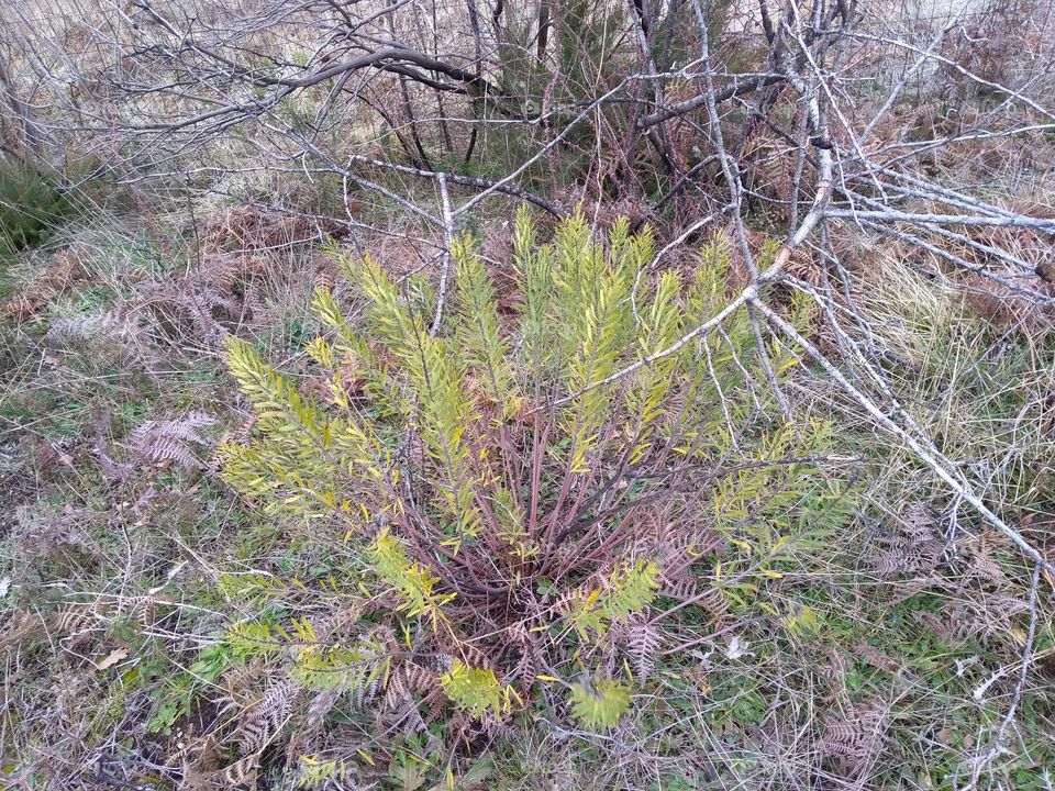 Editors' Choice: Photo of the Week