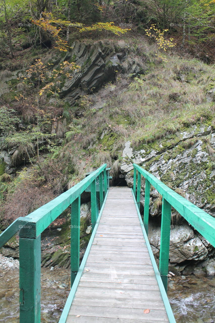 The green bridge 