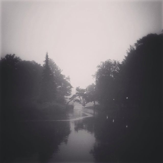 Morningfog