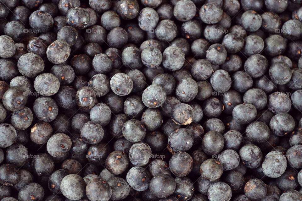 seeds of açai berry