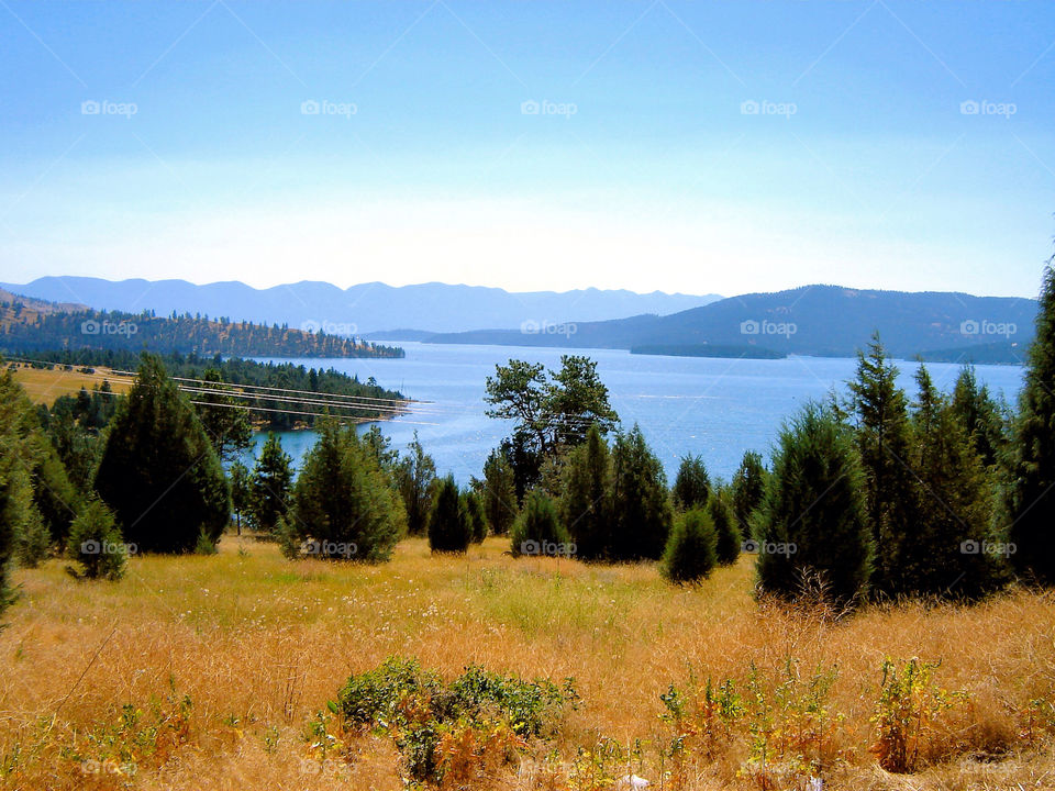 mountain tree water plains by refocusphoto