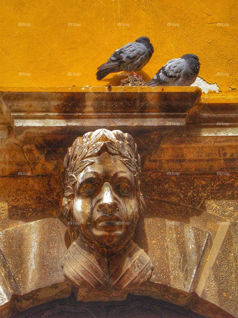 Pigeons and a scuplture 