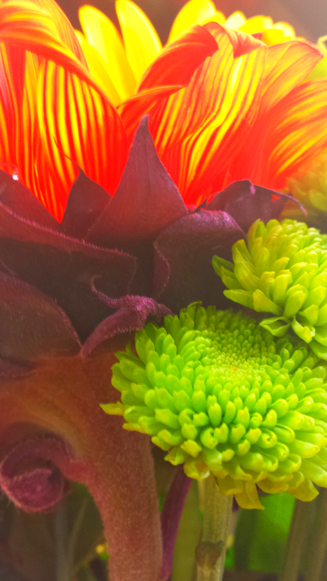 "Colorful Bouquet Of Flowers"