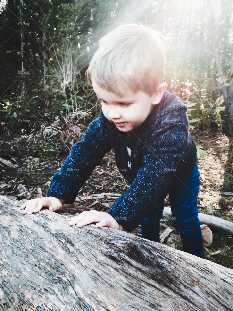 Boy standing near tree trunk