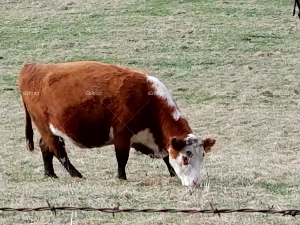Driving the back Roads enjoying everything around us
