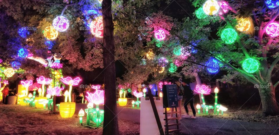 ILLUMINATION of Lights