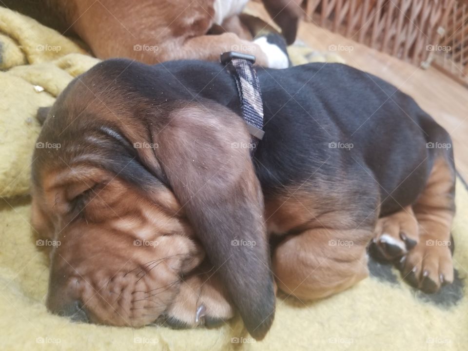 I can't resist those wrinkles!