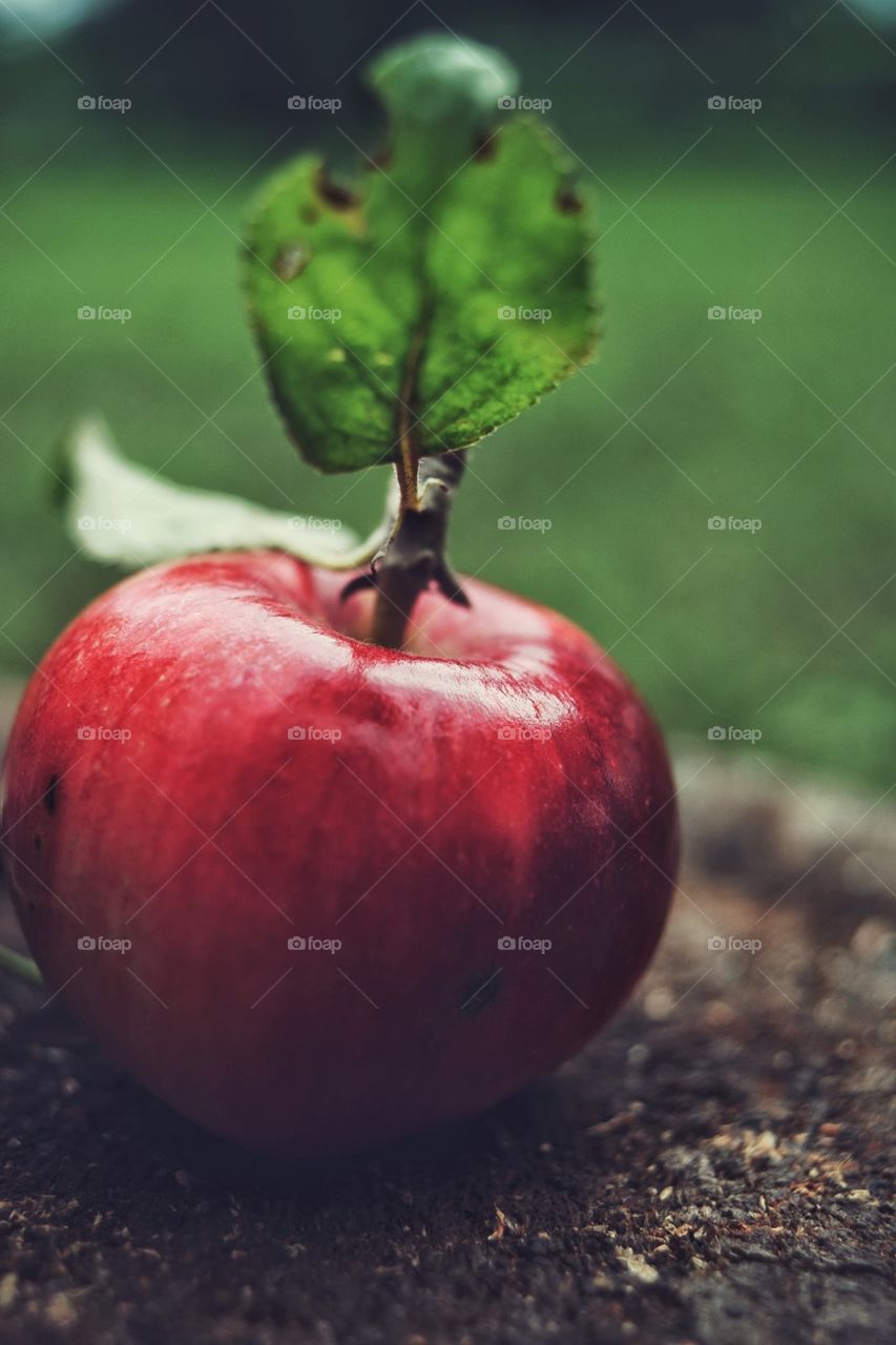 apple