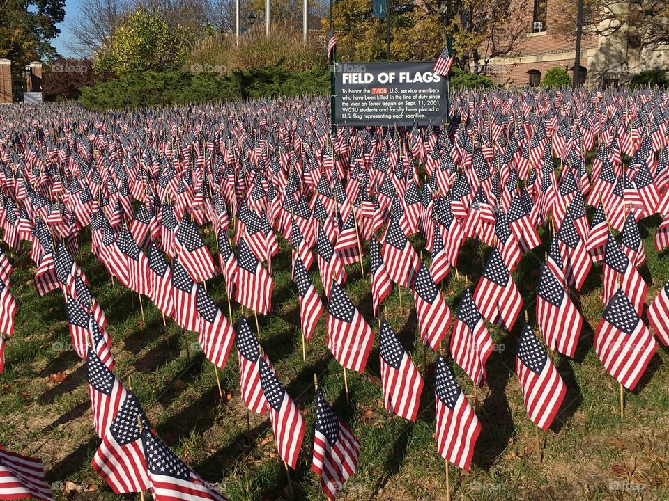 Memorial Flags 