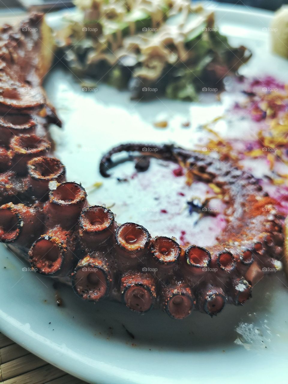 Octopus