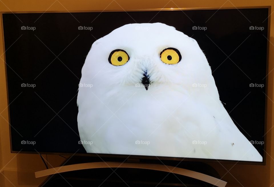 LG 4k TV