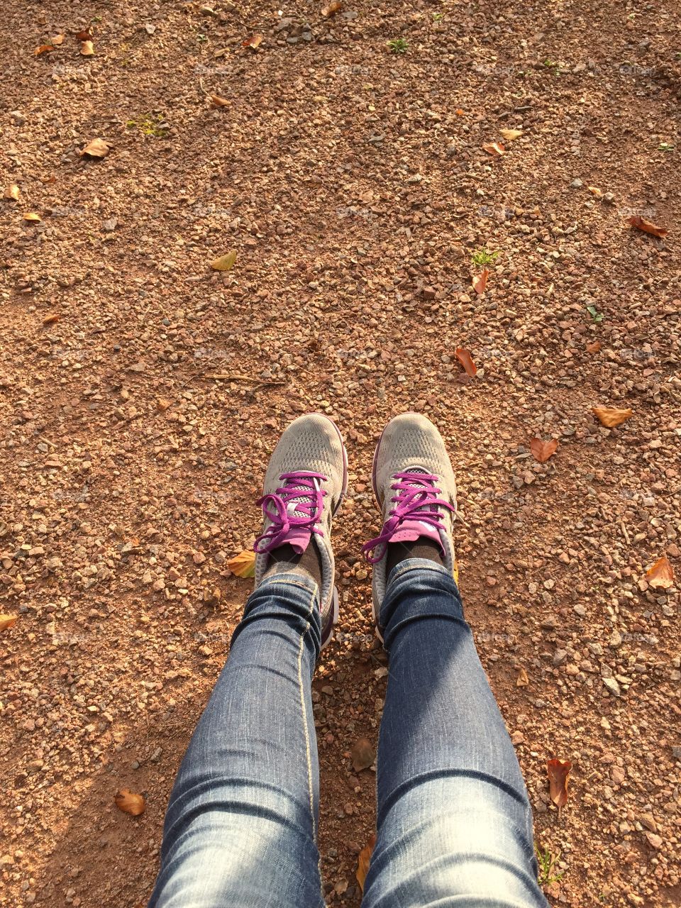 A walk in the forest on a sunny autumn day