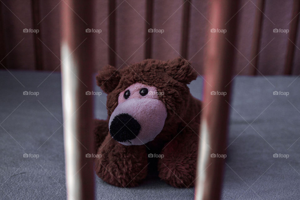 Close-up of brown teddy bear