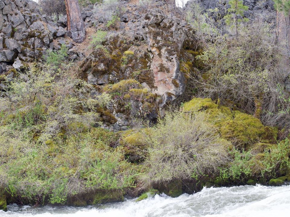 Rough and jagged rock walls form the canyon at Dillon Falls on the Deschutes River in Central Oregon. 