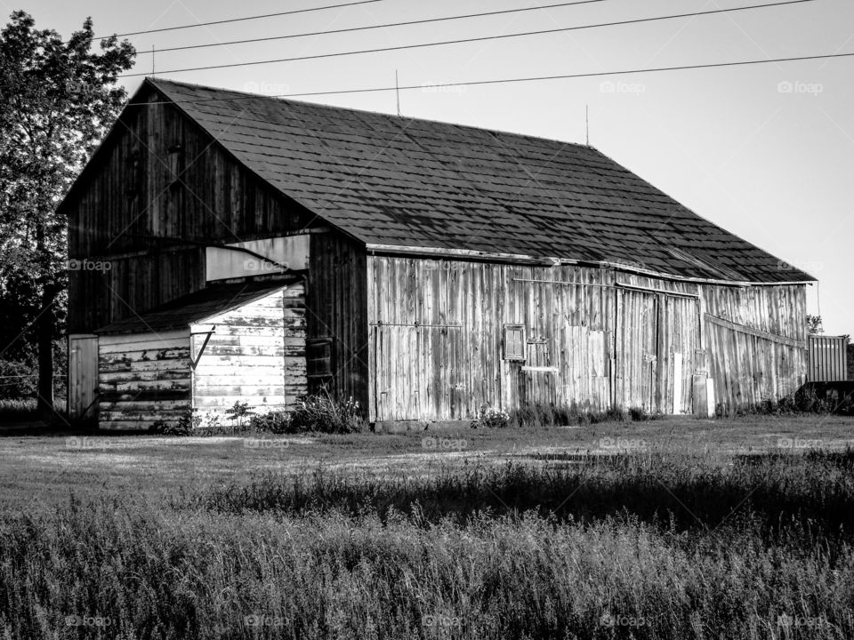 Black and white barn