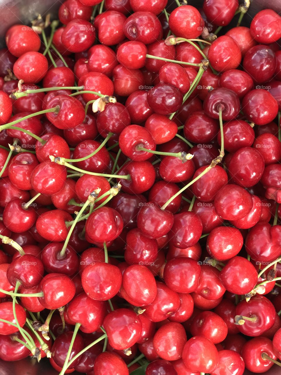 Beautiful cherry background. Summer photo