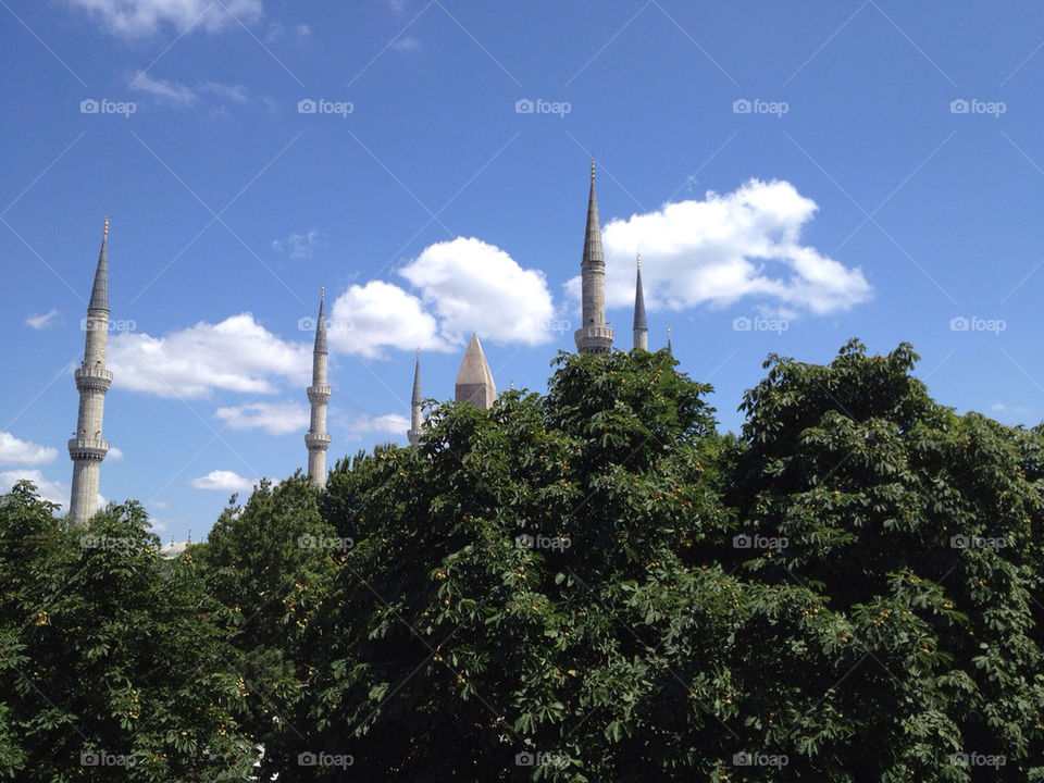 sky tree cloud turkey by linhof