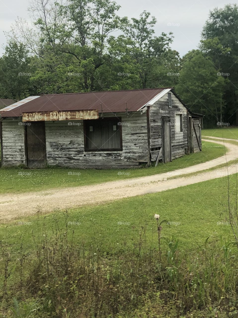 A very old  wooden building with  tin rusty roof, a dirt driveway winding around, and green grass. 
