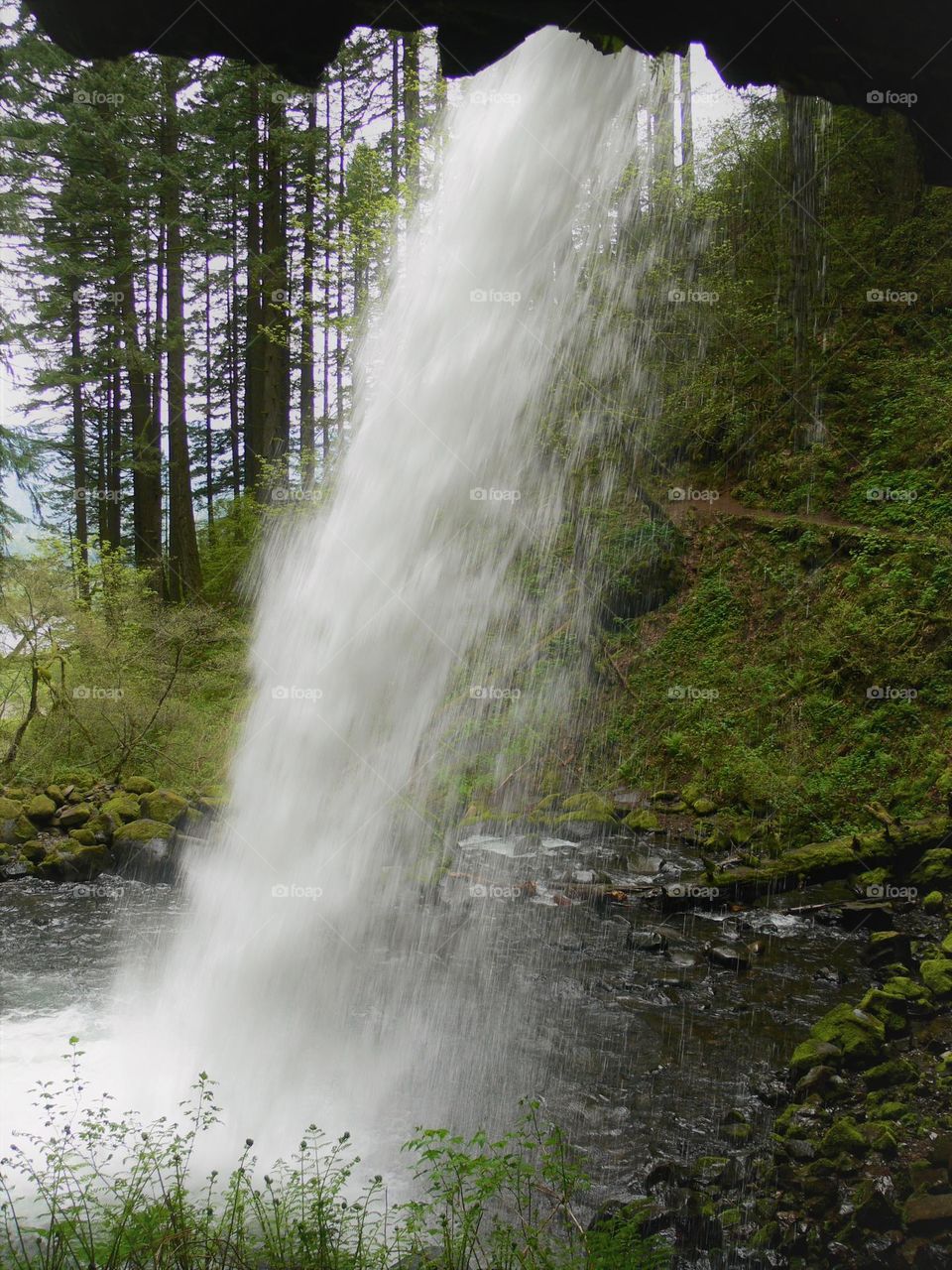 waterfall, water, forest, trail, nature