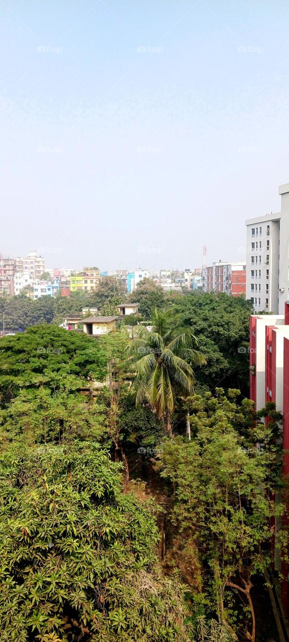 Mirpur City, Dhaka, Bangladesh