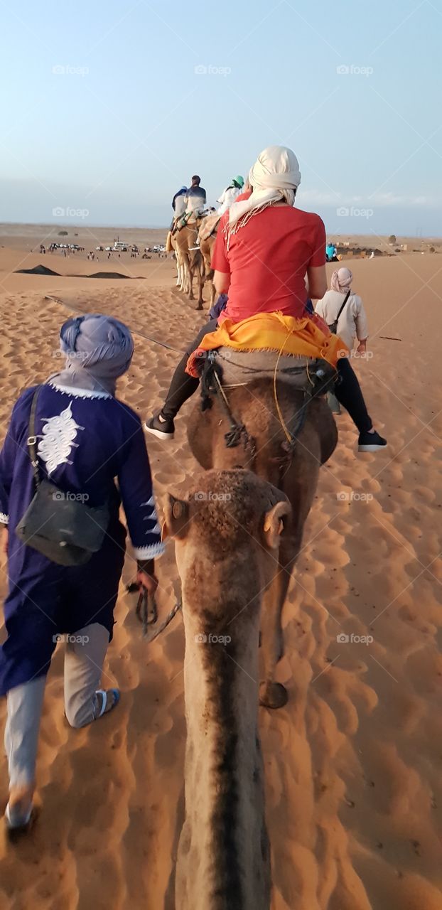 Deserto do Saara