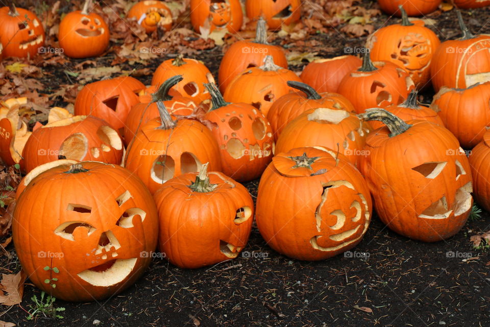 Laughing pumpkins 