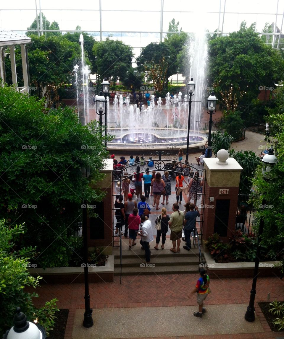 Indoor Fountain