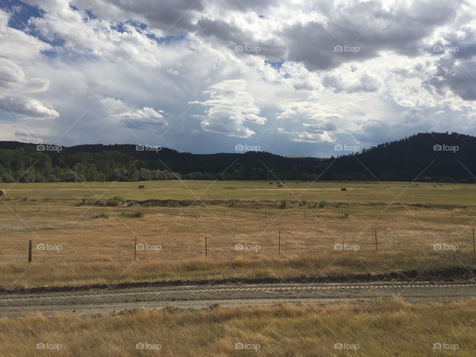 No Person, Landscape, Cropland, Outdoors, Grassland