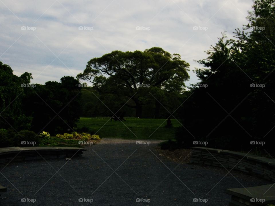 New York, Long Island, Nature, tree, plants, outdoors, calm, relax, shades, colors, Clouds, sky, path, view,