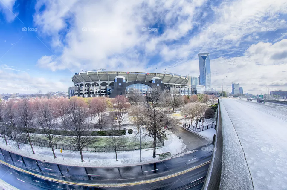 panther stadium