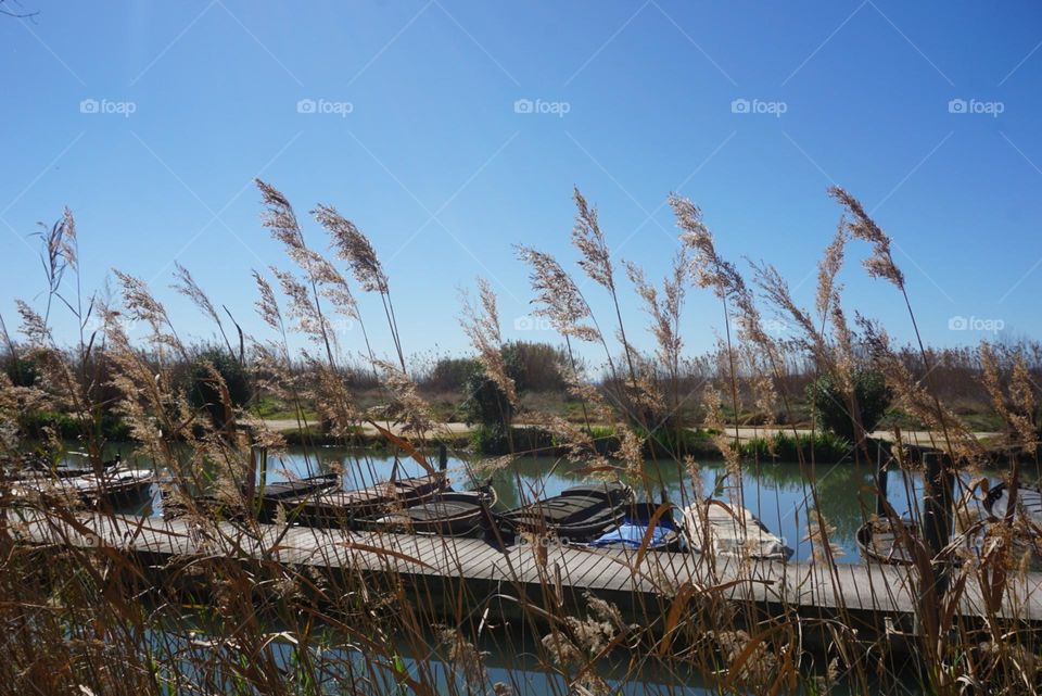 Port#boats#lake#nature#wood#walk