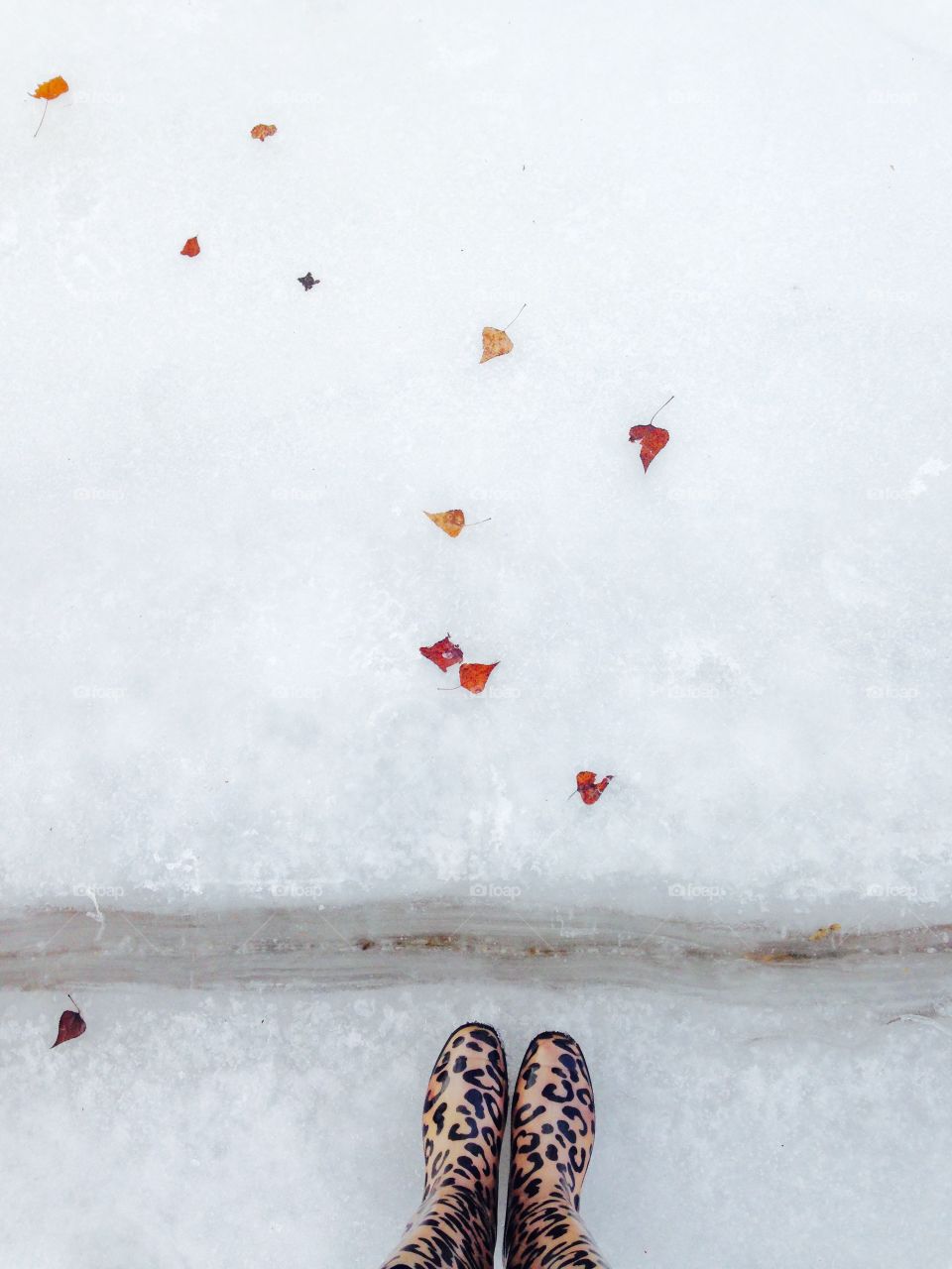 feet at the snow with bright leafs 