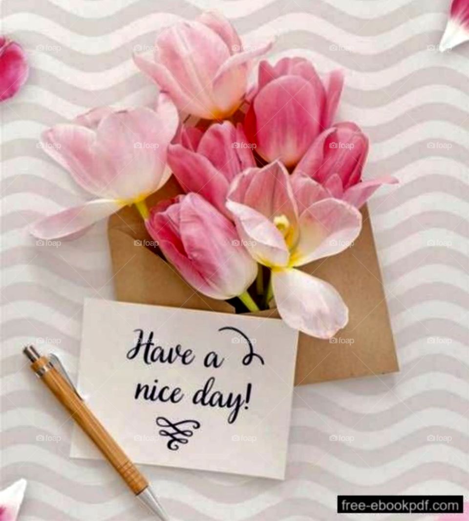 Have A Nice Day!