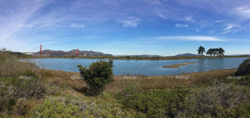 San Francisco Bay landscape in a blue sky