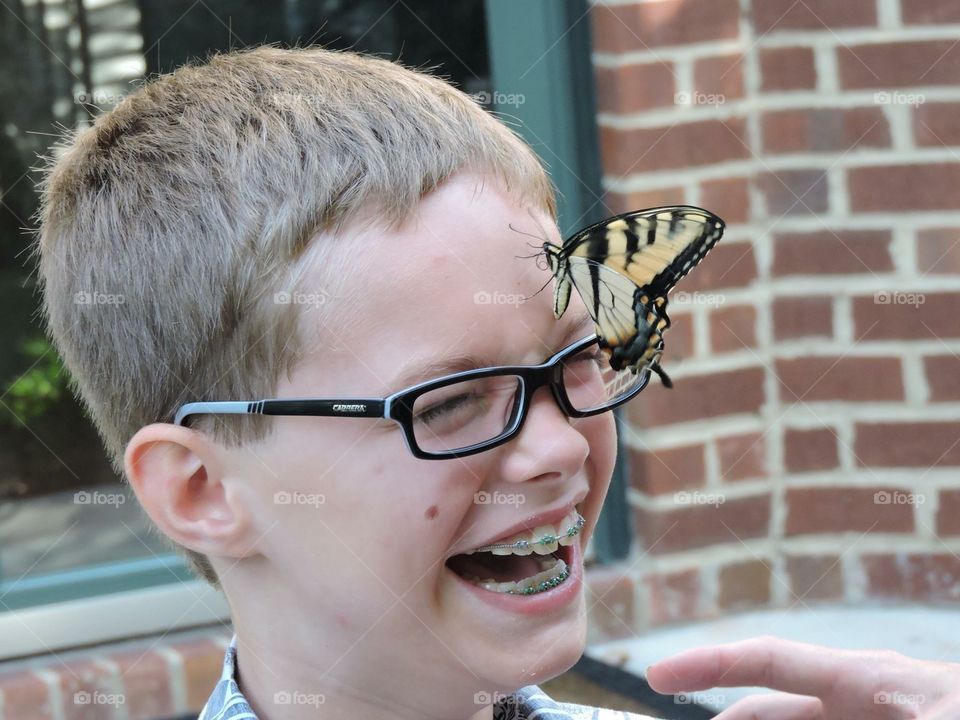 A swallowtail butterfly trying to fly off with my son
