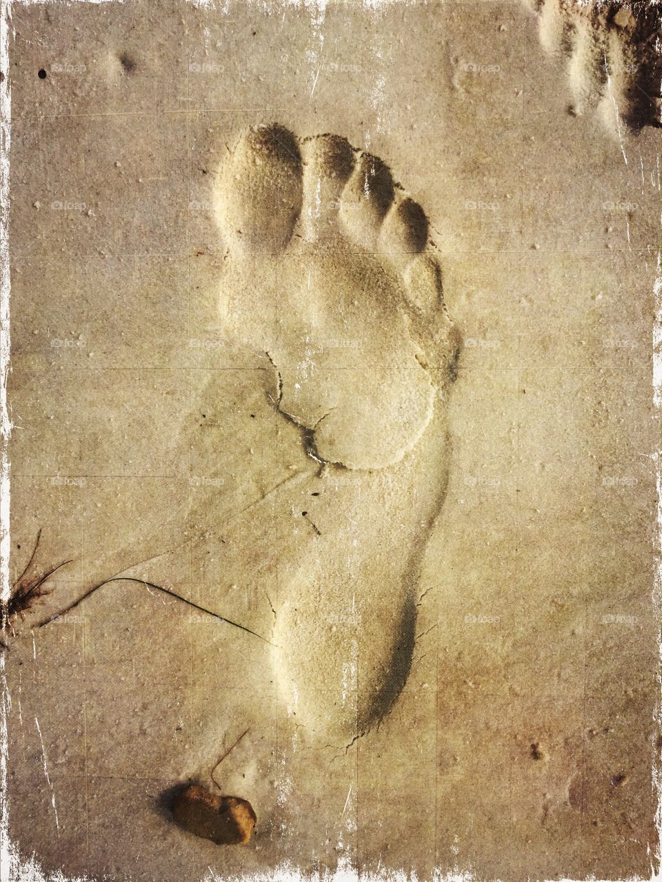 Footprint on the Beach