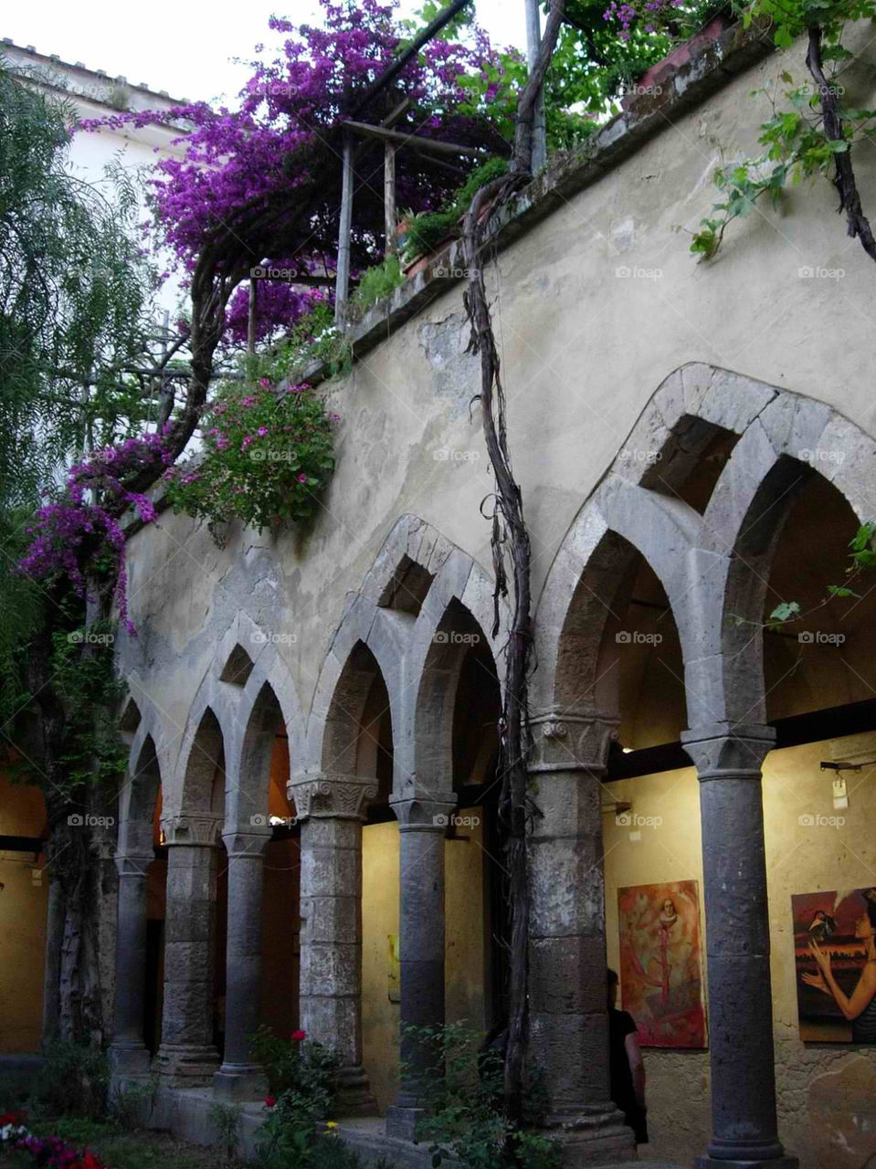 italy plants arches vines by micheled312