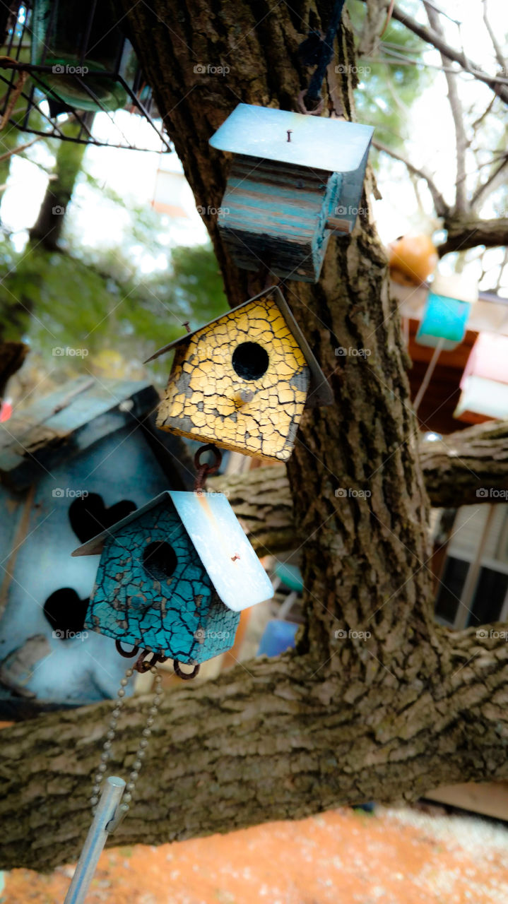 birdhouse