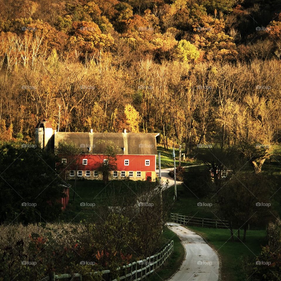 Farm in the Minnesota bluffs 