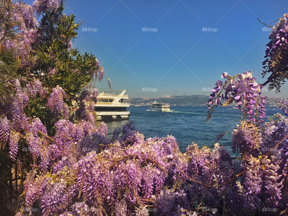 Beautiful view to Bosporus 