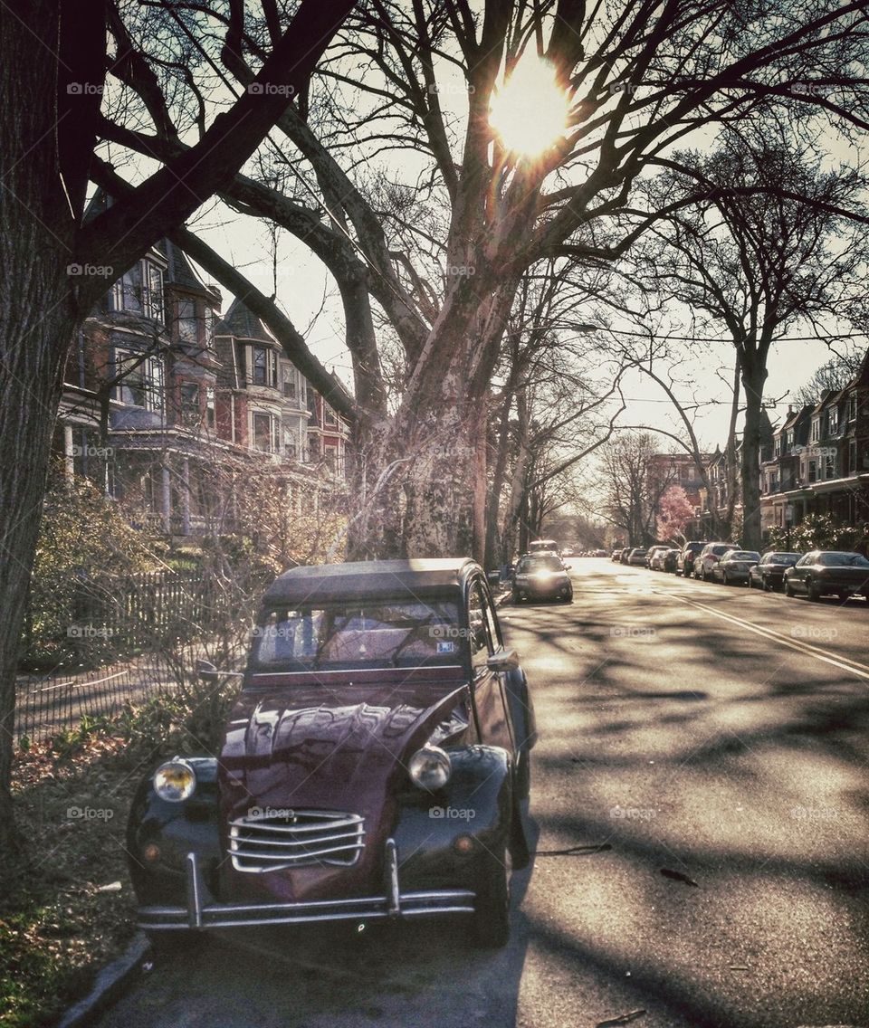 Citroen 2cv in the morning