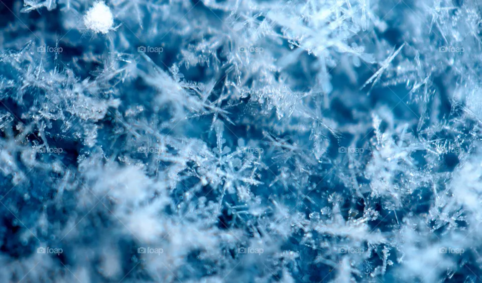 ice