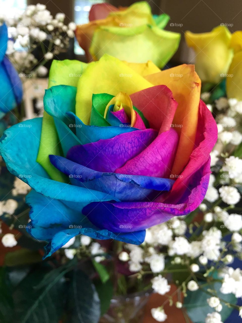 Rainbow rose to make you smile