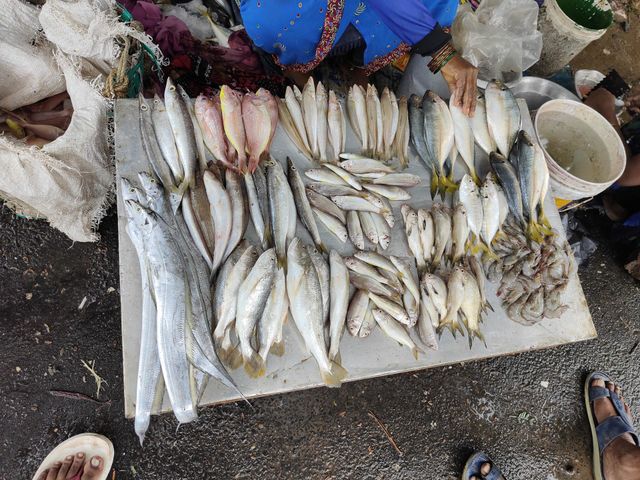 Fish sales