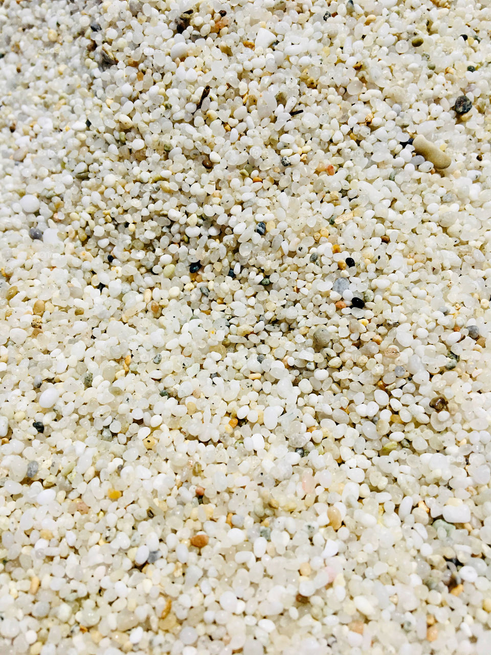 White rice-sand on the beach of Sardinia