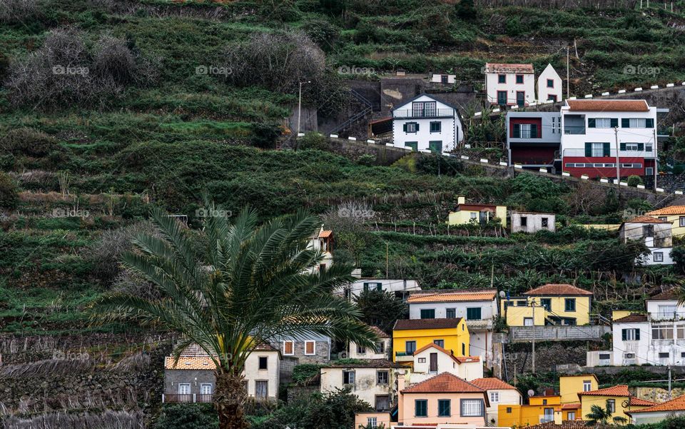 Houses on the mountain 