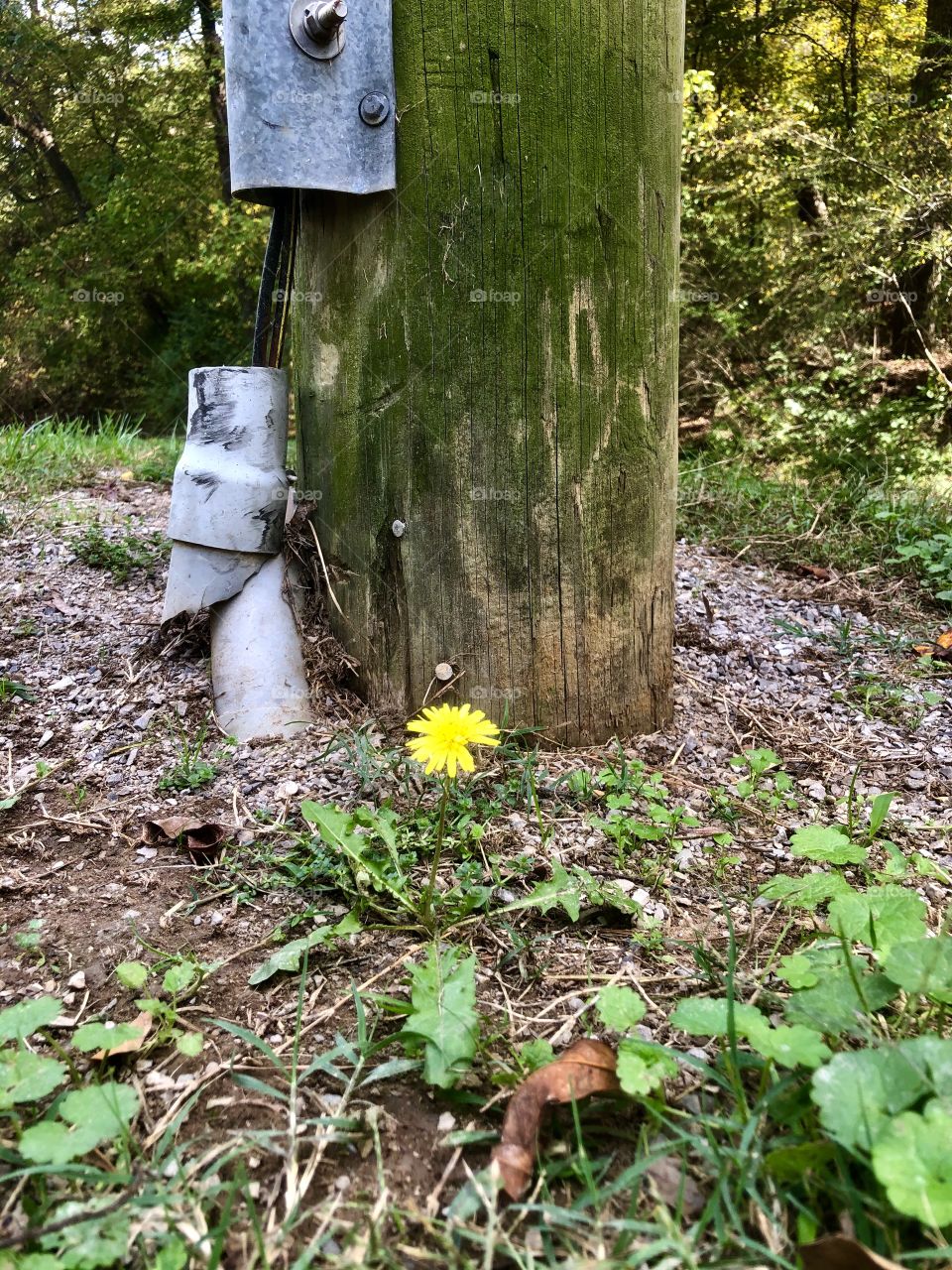 Beauty next to function