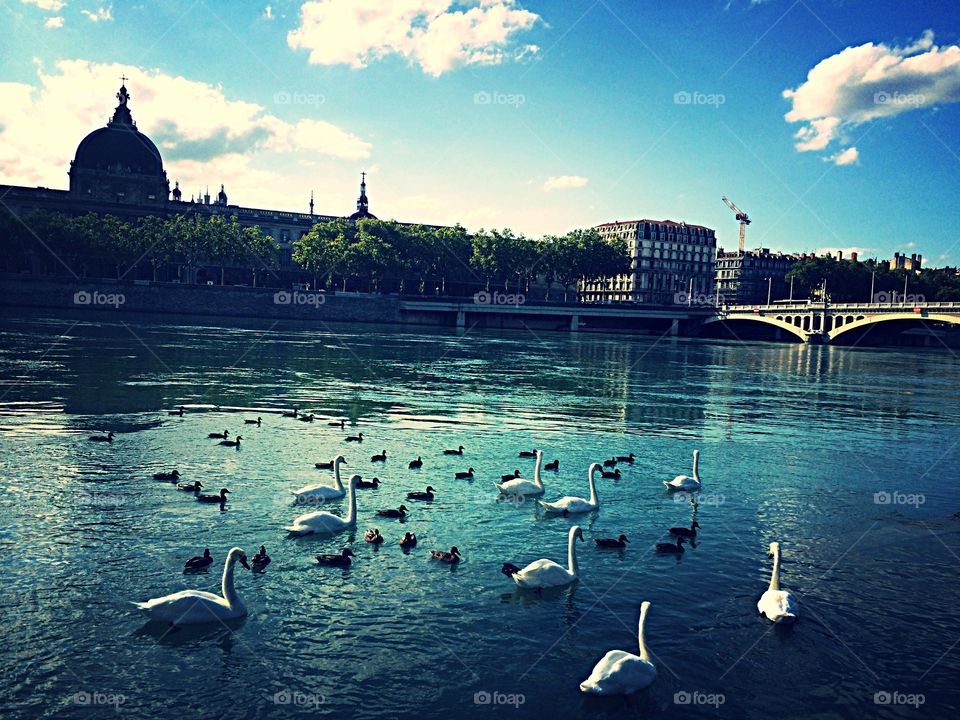 « Même la gloire du fleuve s’achève à la mer »