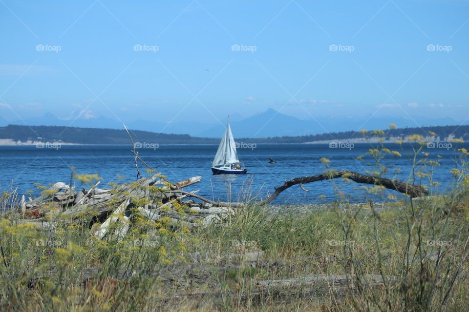 Sailboat from the beach