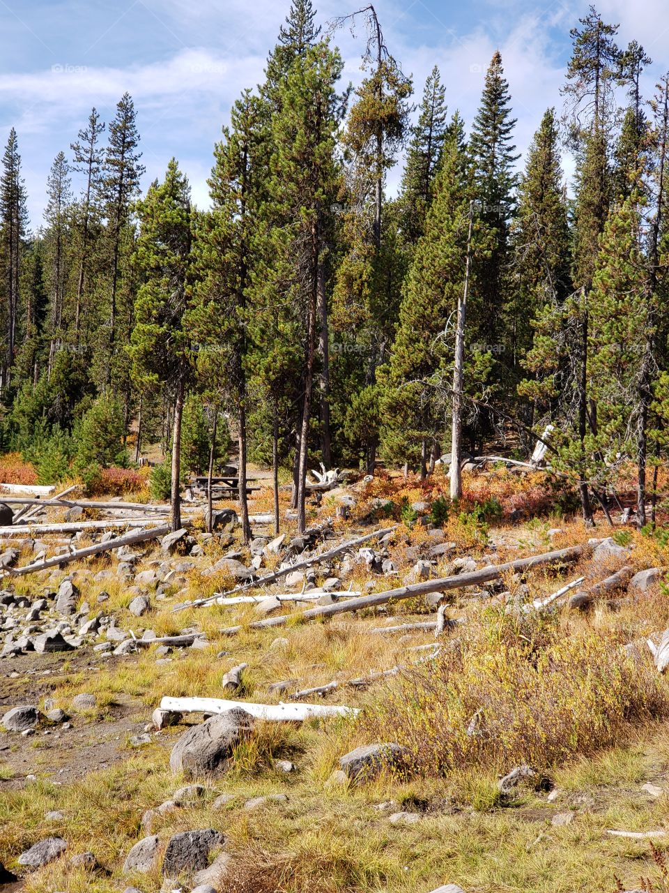 Brilliant fall colors of a landscape on the shores of Elk Lake in Oregon’s Cascade Mountains